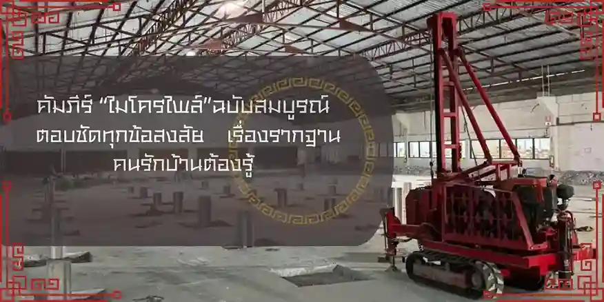 ไมโครไพล์